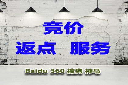 SEM代运营公司助力企业高效推广案例解析